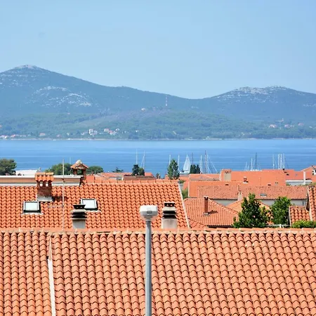 Zupan * Zadar