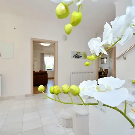 Villa Zupan Zadar
